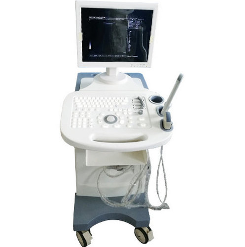 Trolly based Black and white ultrasoun scanner BW-5Plus